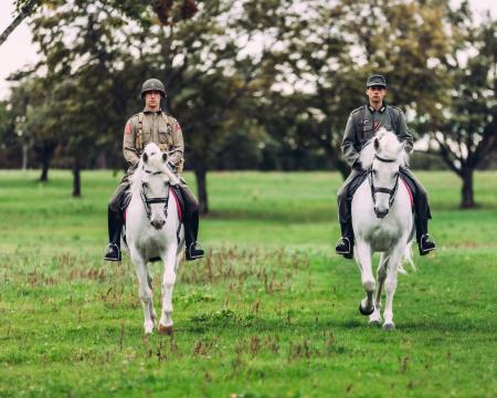 lipiški jezdeci statisti, foto Luka Vovk Vižintin